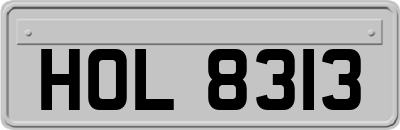 HOL8313