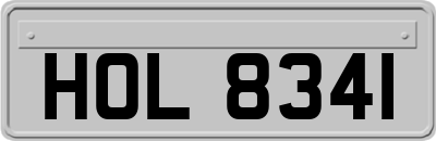 HOL8341