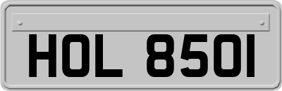 HOL8501