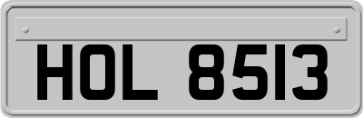 HOL8513