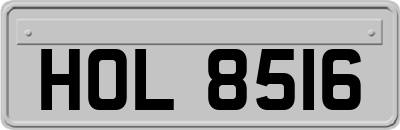 HOL8516