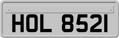 HOL8521