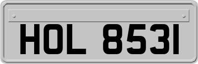 HOL8531