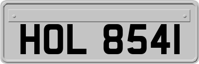 HOL8541