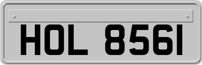 HOL8561