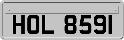 HOL8591