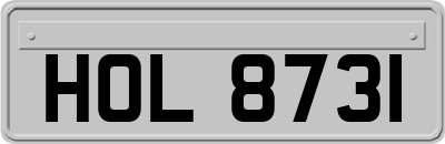 HOL8731