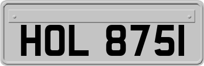 HOL8751