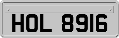 HOL8916