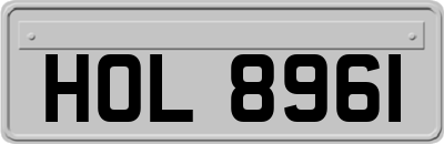 HOL8961