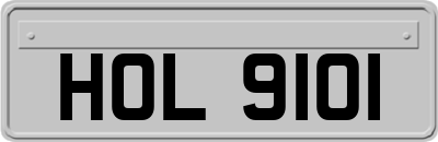 HOL9101