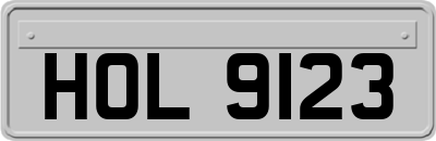 HOL9123