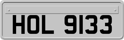 HOL9133