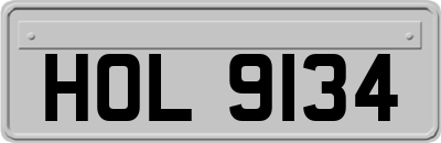 HOL9134