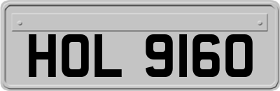 HOL9160