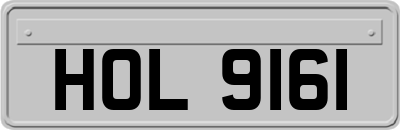 HOL9161