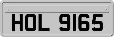 HOL9165