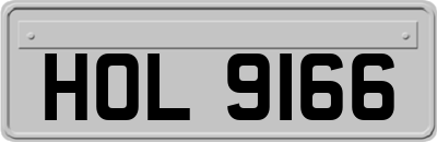 HOL9166