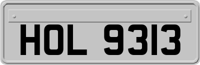 HOL9313