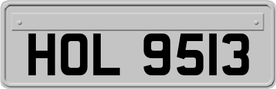 HOL9513