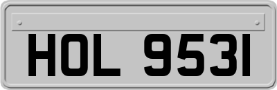 HOL9531