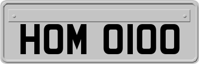 HOM0100