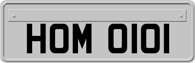 HOM0101