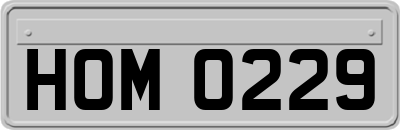 HOM0229