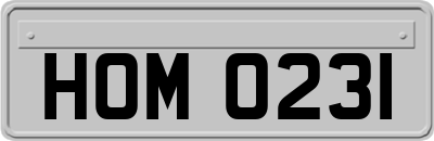 HOM0231