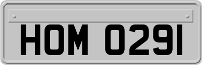 HOM0291