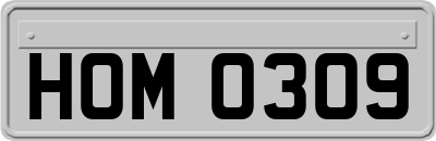 HOM0309