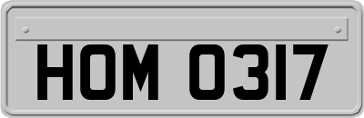 HOM0317