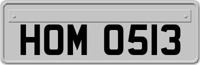 HOM0513