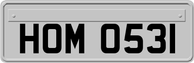 HOM0531