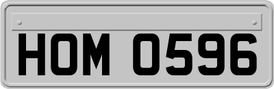 HOM0596