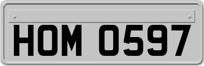 HOM0597