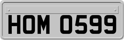 HOM0599