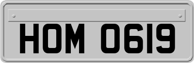 HOM0619