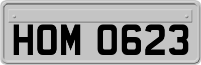 HOM0623