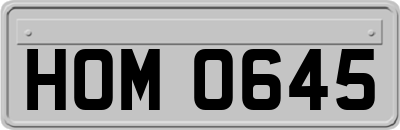 HOM0645