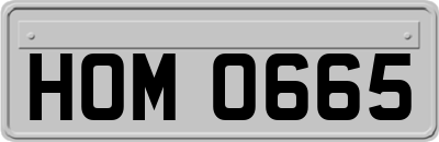 HOM0665