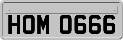 HOM0666