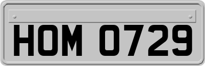 HOM0729