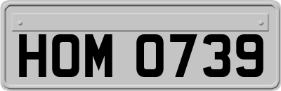 HOM0739