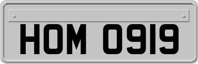 HOM0919