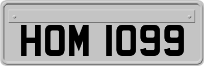 HOM1099