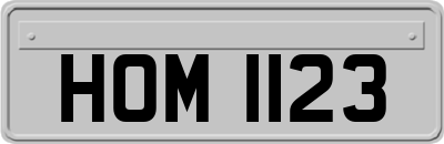 HOM1123