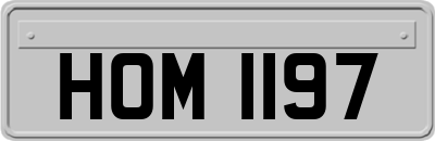 HOM1197