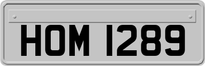 HOM1289