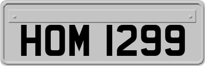 HOM1299